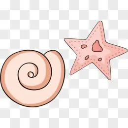 卡通贝壳