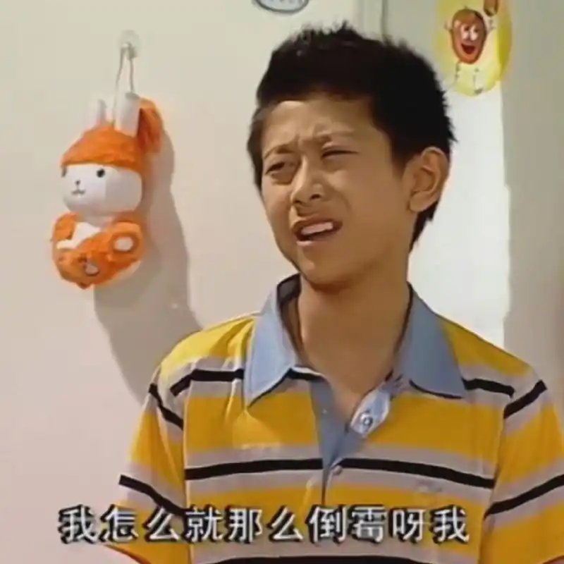 收一波家有儿女刘星表情包