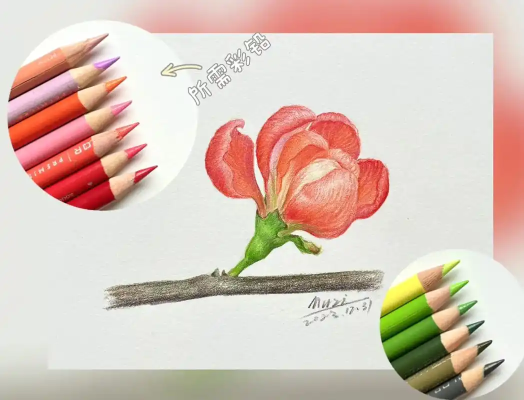 彩铅花卉96海棠花#绘画过程分享 #跟着抖音学画画 #学会快去 - 抖音