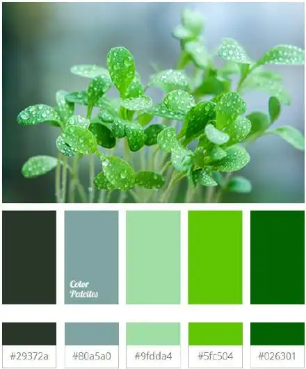 权威公布2017流行色,满满的小清新