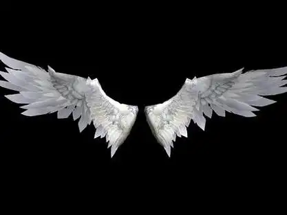 大翅膀动态壁纸_炫酷翅膀动态图_三星fold3翅膀动态壁纸 - 抖音