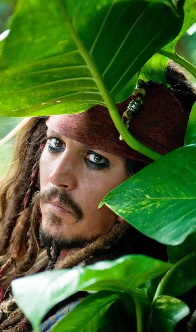 壁纸  杰克船长壁纸