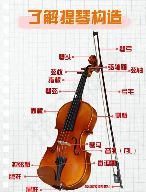 了解小提琴的结构