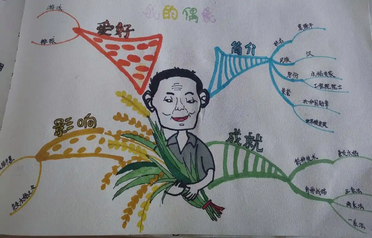 我的偶像简笔画袁隆平