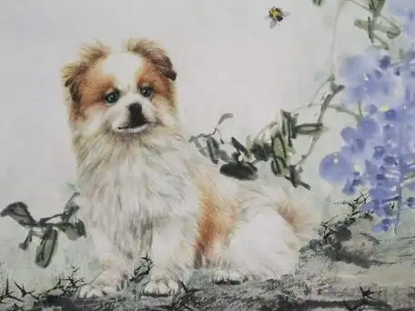 1994年出生的属狗人2021年多大了