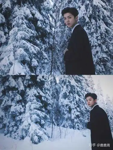 我为什么总是get不到鹿晗的颜?