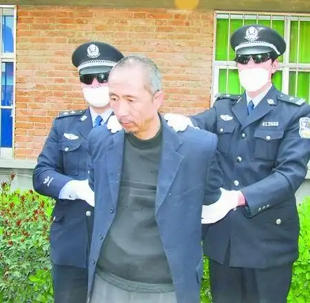 淅川特大拐卖儿童案主犯伏法