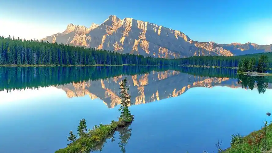 绿色清新护眼自然风景桌面壁纸