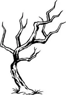 枯萎的树儿童简笔画