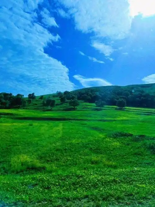 640_855竖版 竖屏