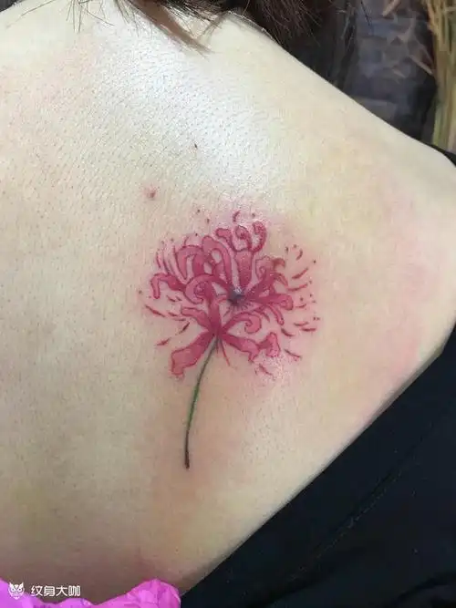 彼岸花_纹身图案手稿图片_venki的纹身作品集