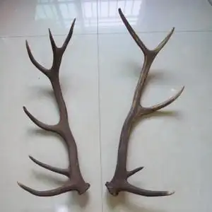 马鹿角刀柄价格