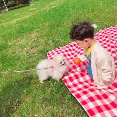 大q宝情头_情侣头像_我要个性网