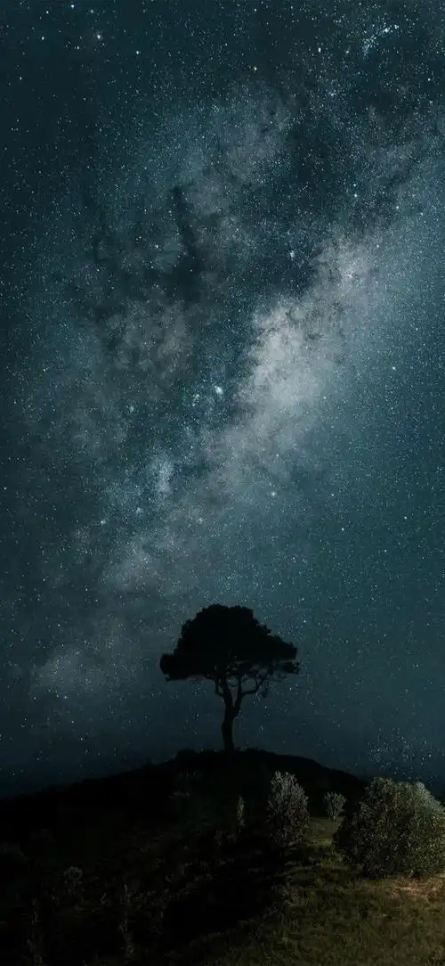 壁纸 气候 气象 660_1431 竖版 竖屏 手机