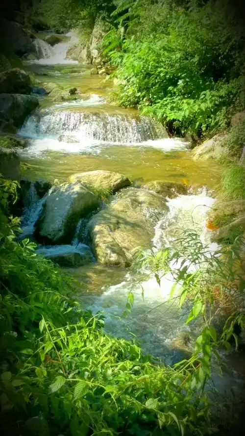 山水花草美在自然(手机随拍)