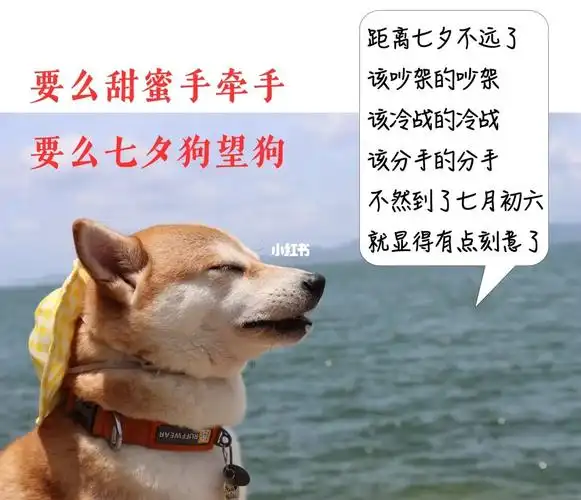 分手快乐祝我快乐