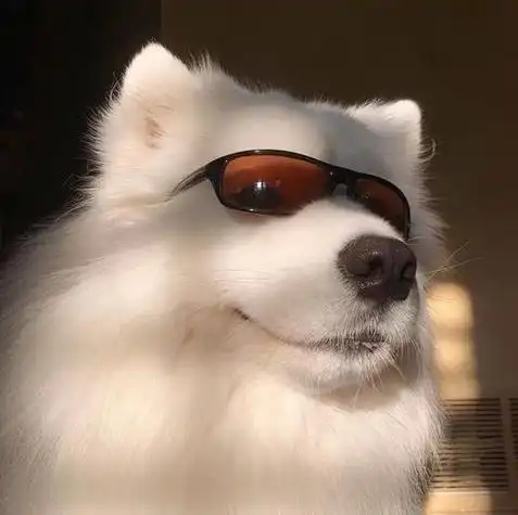 冷酷的男生动物头像 男生头像图片大全 -【爱个性】