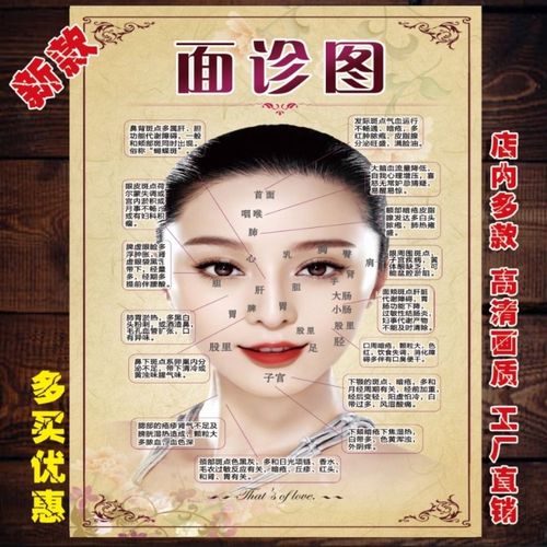 人体面部穴位图经络美容院脸部按摩中医养生图片挂图刮痧面诊海报