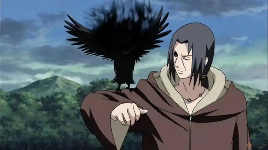 动漫中人气不亚于主角的十大配角鼬神索隆排前三