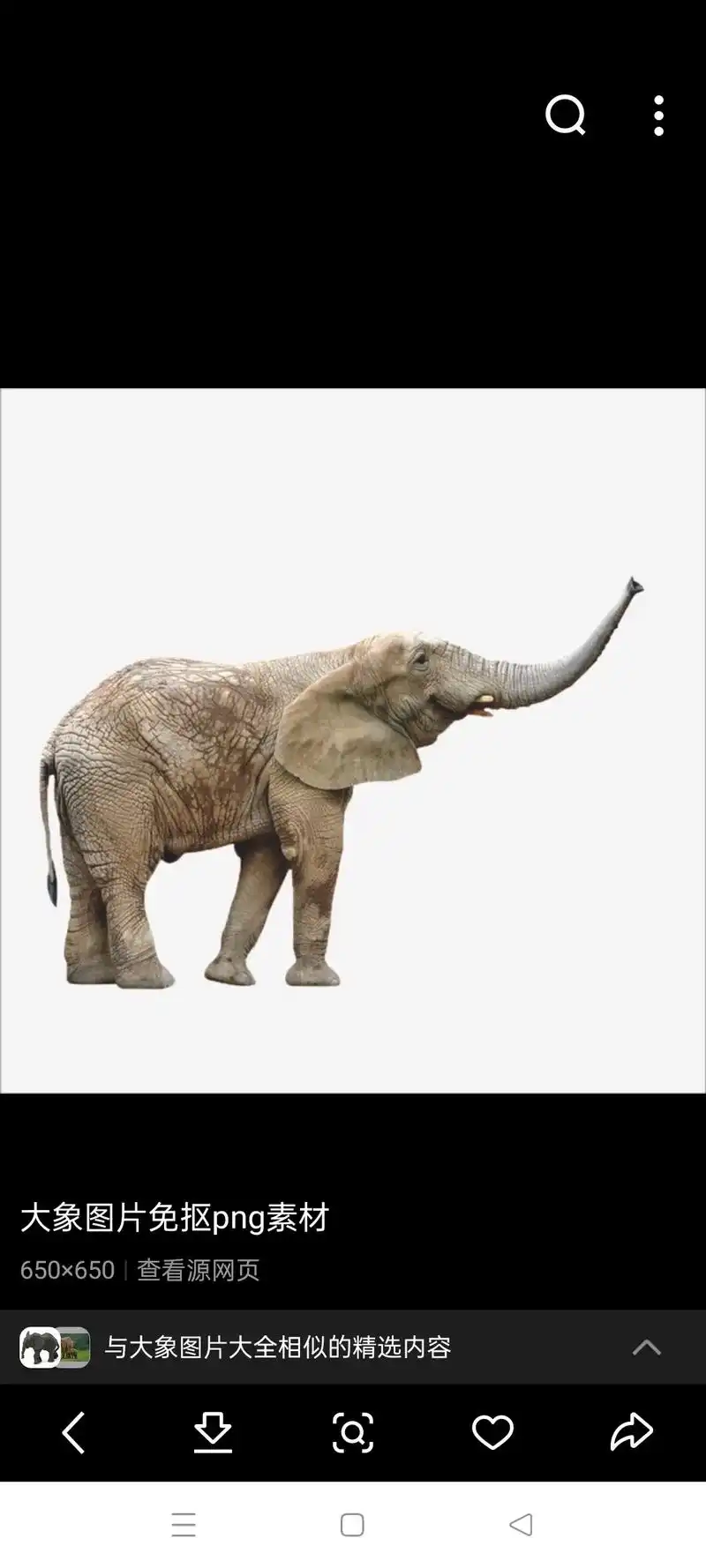 与大象图片大全相似的精选内容 大象剪影图片野生动物免抠素材  - 抖