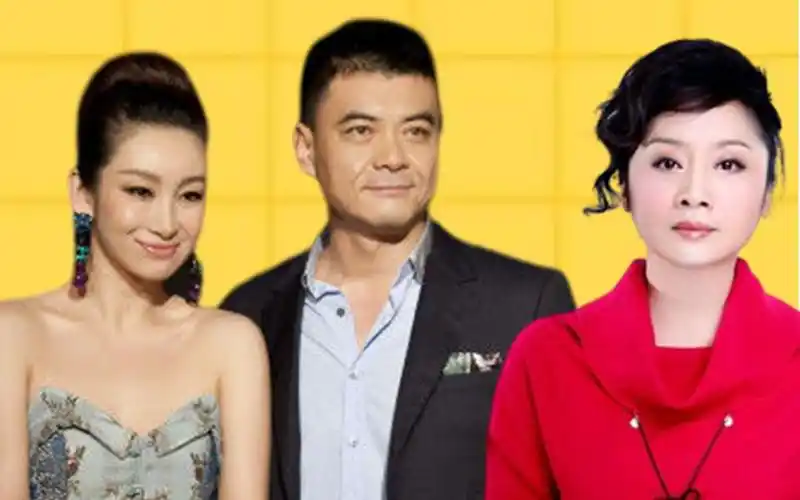 分道扬镳14年后,再看被王新军抛弃的唐静,才明白她比秦海璐差的不是一