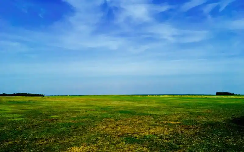 精选绿色田野护眼风景图片桌面壁纸