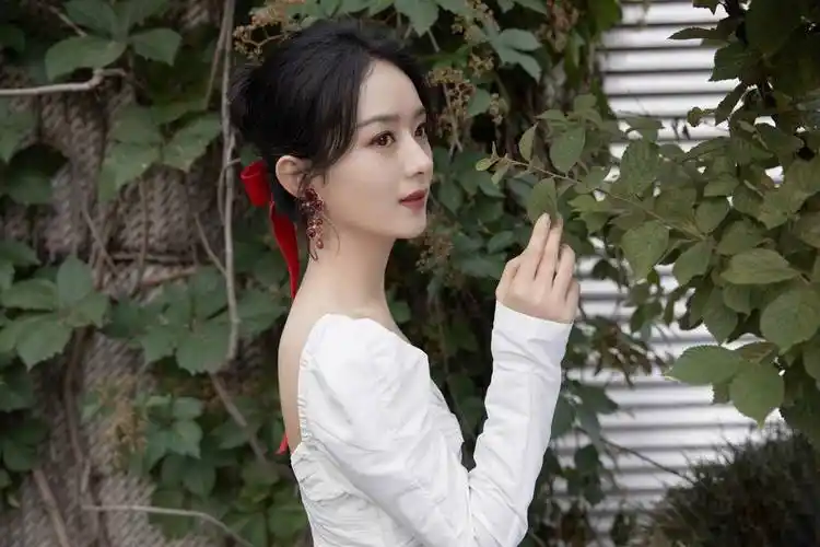 赵丽颖这套造型梦幻又迷人. 赵丽颖侧颜优越.