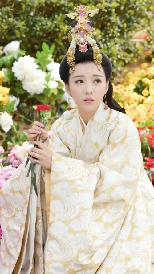 思美人 田姬 宁心