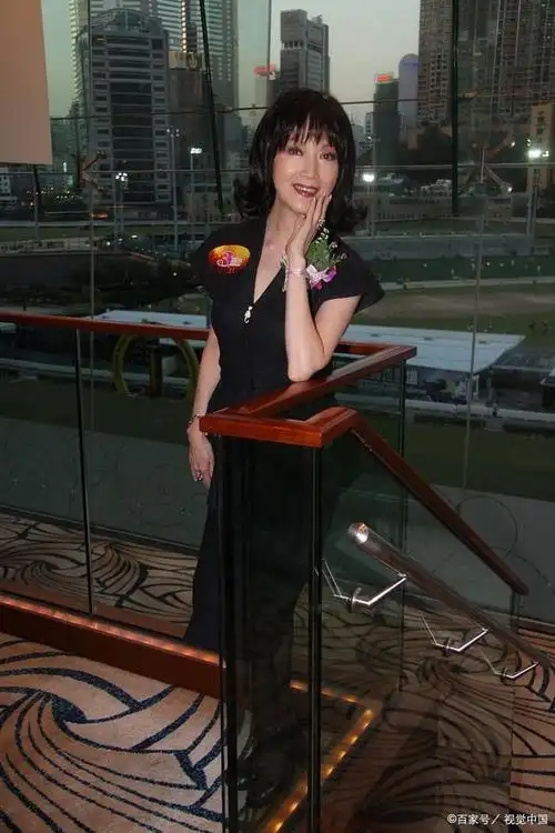 潘迎紫的传奇故事不仅仅是她个人的成功,更是对整个社会的鼓舞和启发.