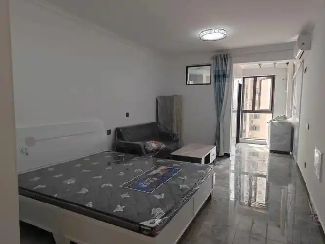 双河嘉苑一室一厅一厨一卫双气住宅50平阳台