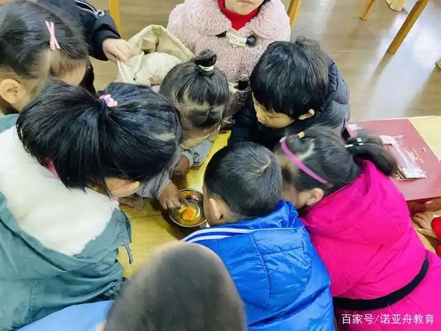 诺亚舟嘉兴庆安小哈佛幼儿园中五班班级故事——孵小鸡体验记