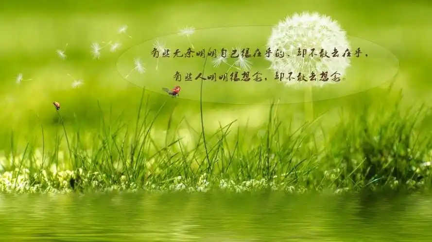 人生很无奈的伤感说说图片