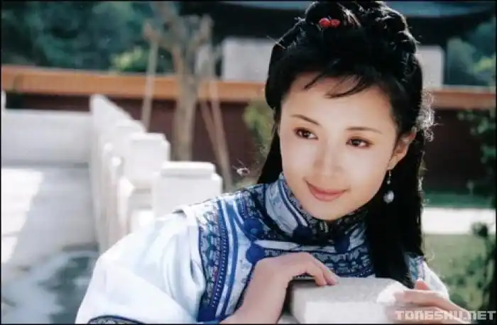 杨童舒《太平天国》