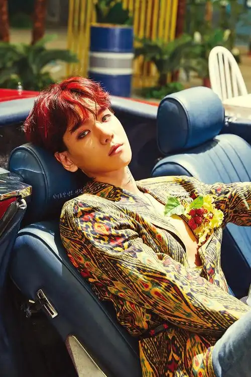 突然觉得伯贤kokobop时期的鲻鱼头发型没那么丑了