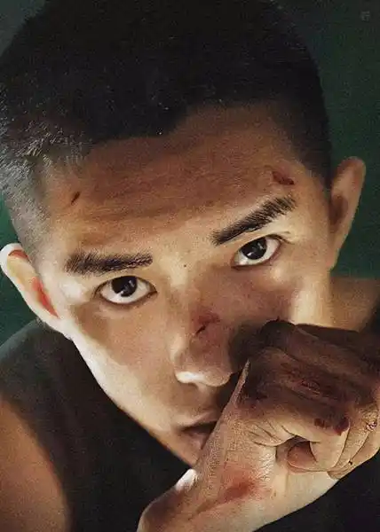 明星网资讯,第39届中国香港电影金像奖获奖名单揭晓,易烊千玺凭借