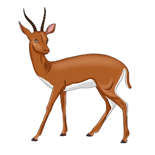 矢量可爱卡通羚羊