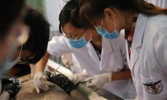 医学院解剖的尸体是从哪里来的