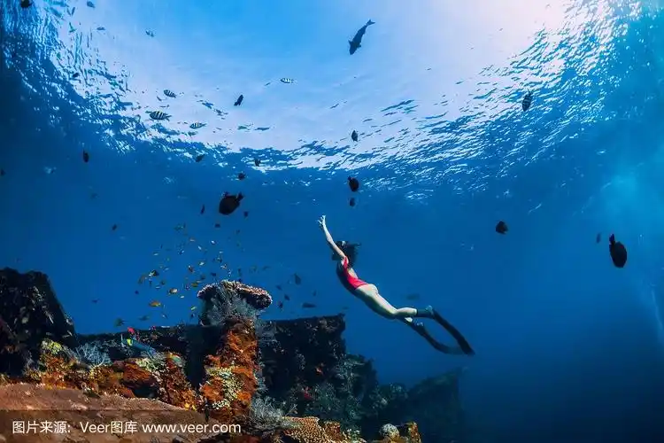 自由潜水女孩在沉船上游泳.
