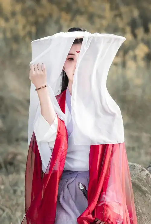 斗笠帽 面纱古风古风斗笠帽 汉服侠男舞台影视道具cos日常防晒遮容