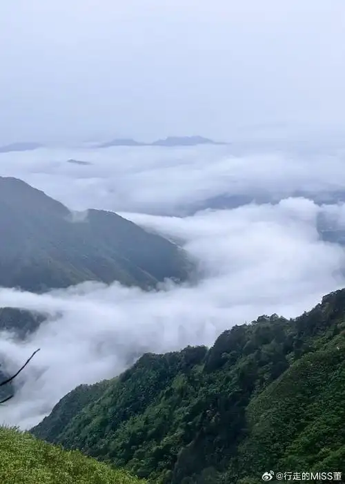 武功山##户外##武功山云海##总得来一趟武功山吧