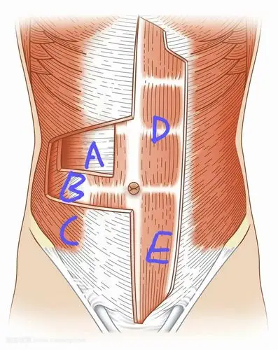 做梦都想练出来的马甲线人鱼线其实你天生就拥有你知道吗