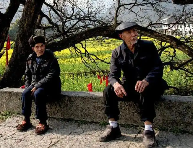 生活|膝下|出行|弱势群体_网易订阅