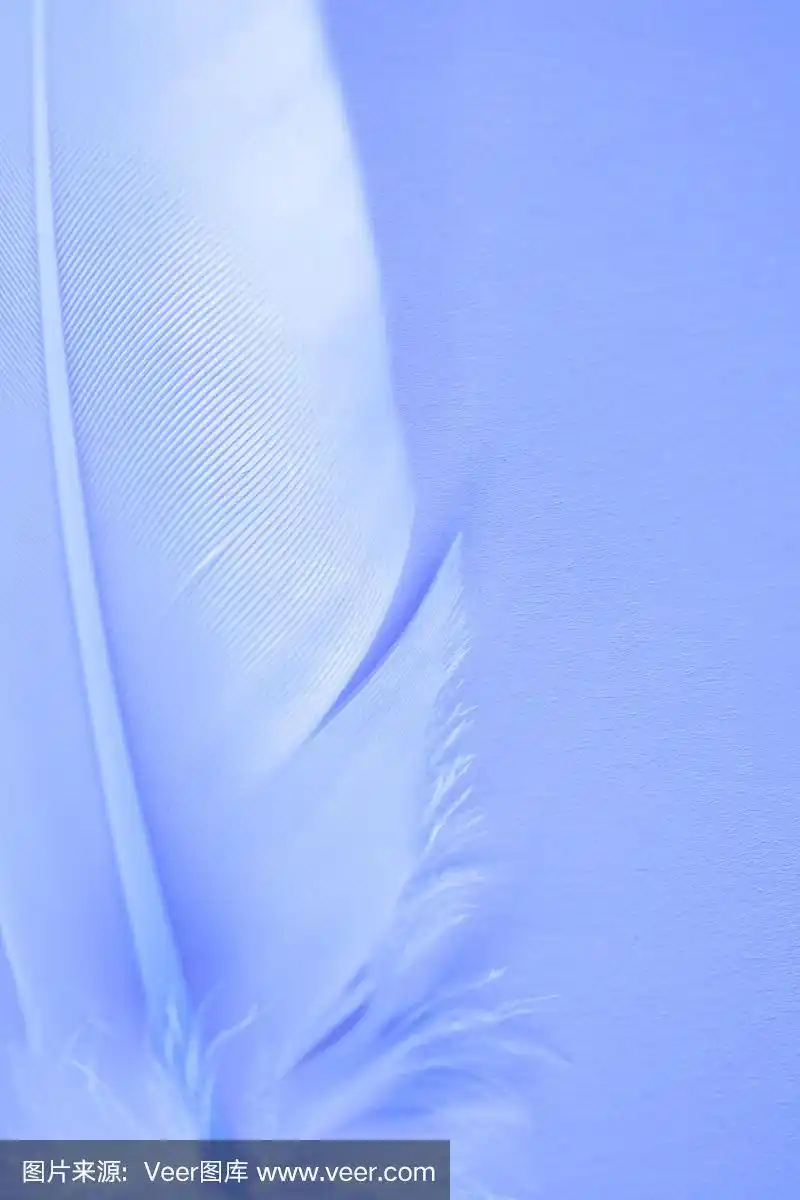 浅蓝色羽毛背景.不聚焦的羽毛纹理.