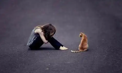 一个人心累无助的说说撑到现在有多累