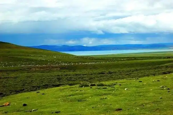 邦达草原位处西藏自治区昌都地区,三江流域之高山深谷 - 抖音