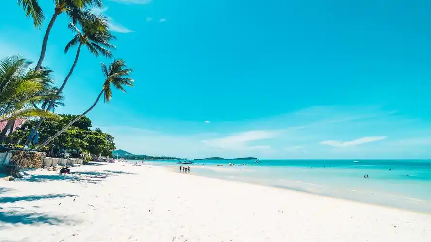 清新的大海景色,风景-回车桌面