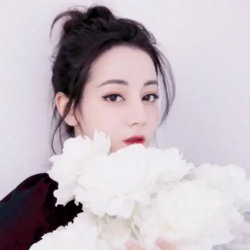 自制迪丽热巴滤镜头像