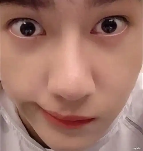 人类高质量头像#王一博