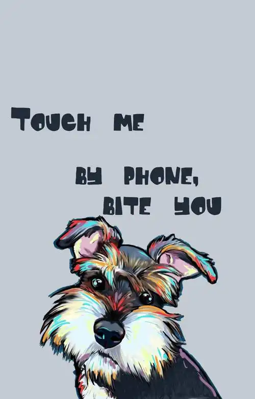 别碰我手机 雪纳瑞 - 堆糖,美图壁纸兴趣社区