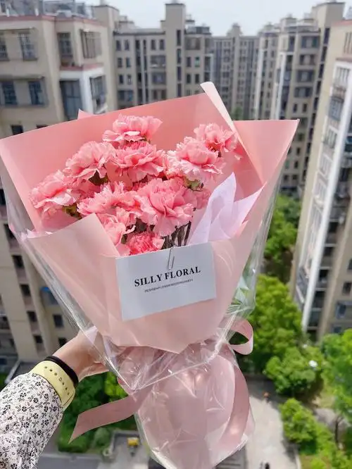 母亲节花束康乃馨花束